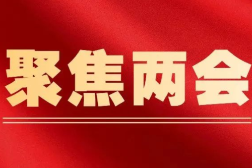 全国人大代表、九洲集团董事长李寅：突破传统能源消费模式 加快发展生物质能产业