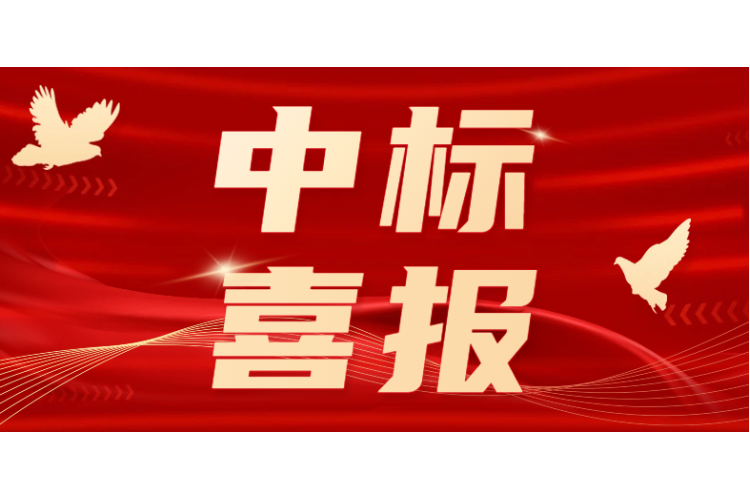 从东南亚到非洲：九洲集团海外业务喜迎开门红 新单落地彰显硬核实力
