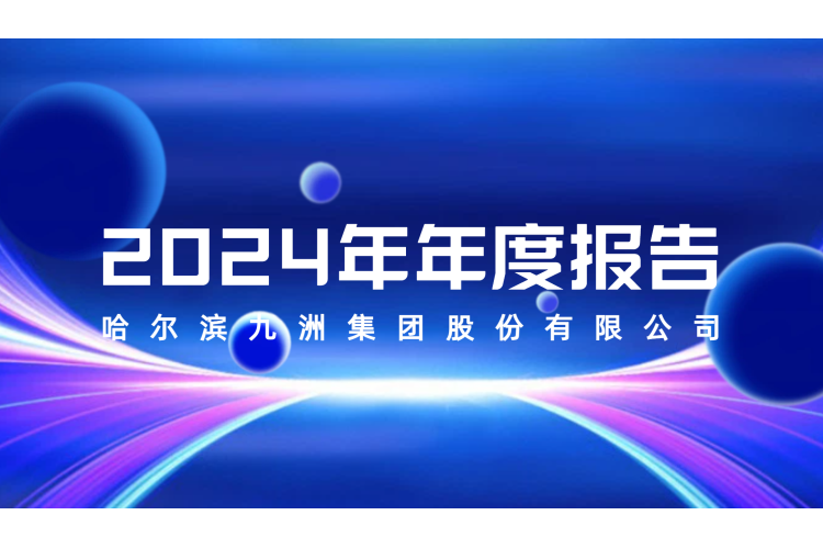 哈尔滨九洲集团股份有限公司 2024年年度报告